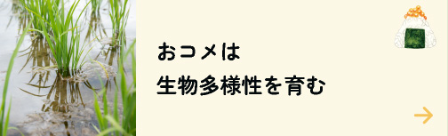 おコメは生物多様性を育む