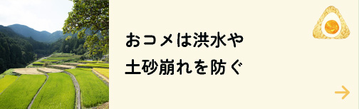 おコメは洪水や土砂崩れを防ぐ